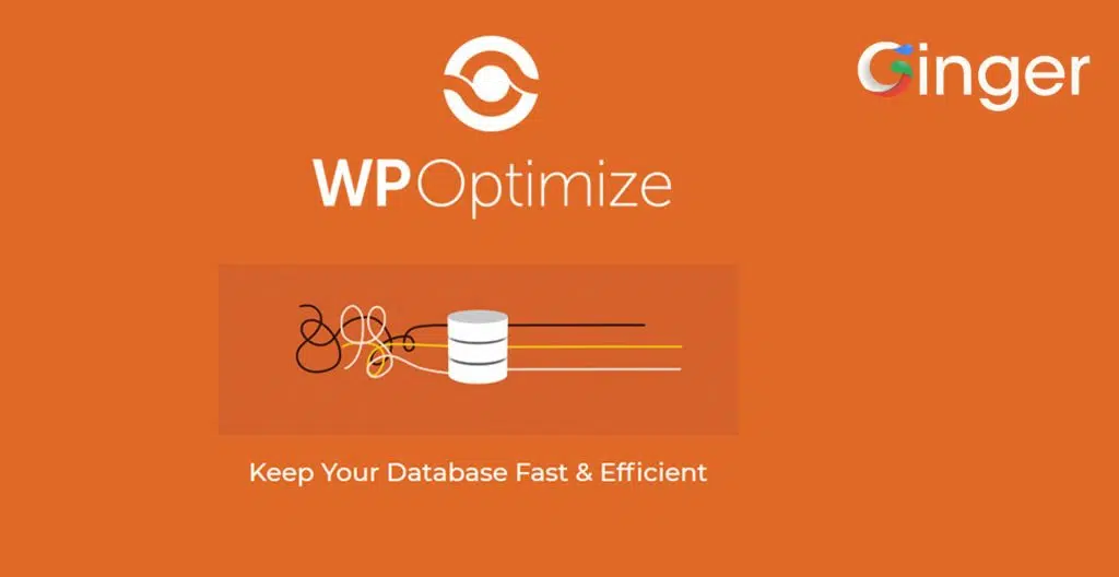 Wp-optimize- افزونه افزایش سرعت سایت 